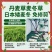 北京丹麦草基地销售丹麦草麦冬草崂屿苔草