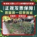 北京丹麦草基地销售丹麦草麦冬草崂屿苔草