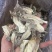 鹿茸菇大货批发