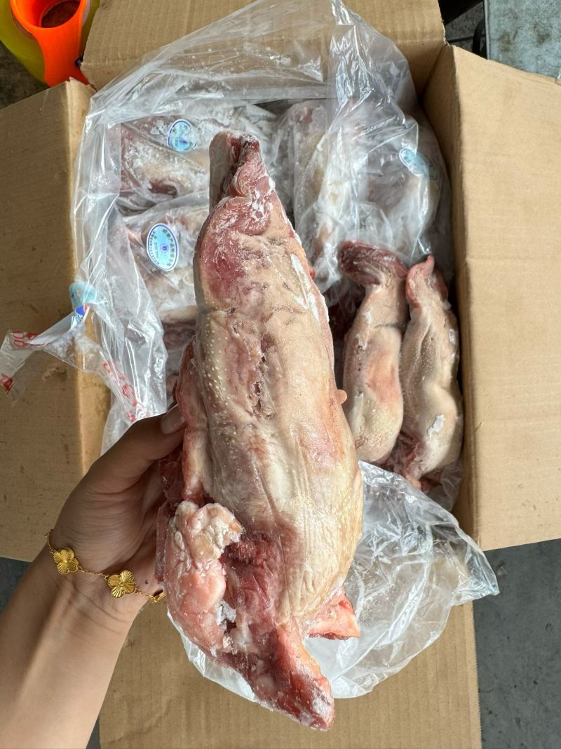 口条