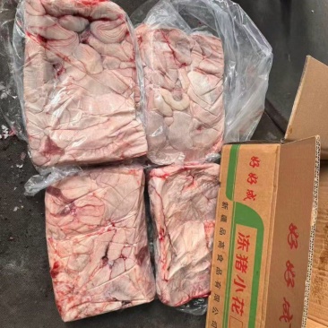 母猪小花