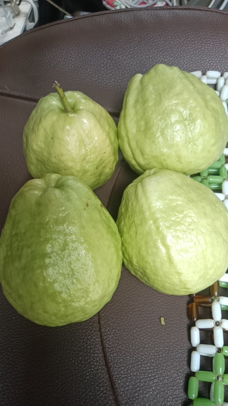 番石榴珍珠芭乐白心，果面非常漂亮，个个脆甜，品质保证！