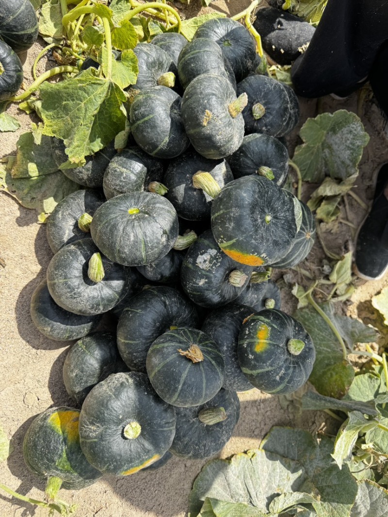 爆粉贝贝，电商，市场加工厂都可以