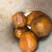 【腌芥菜】常年批发腌渍卜留克半成品