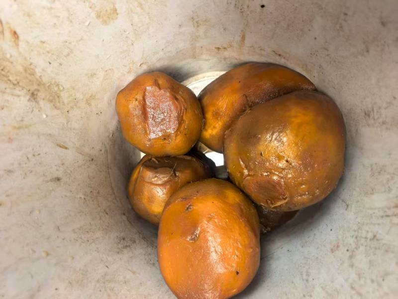 【腌芥菜】常年批发腌渍卜留克半成品