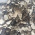 中药材猪苓无硫猪苓精品野生正品猪苓片猪苓汤猪苓粉