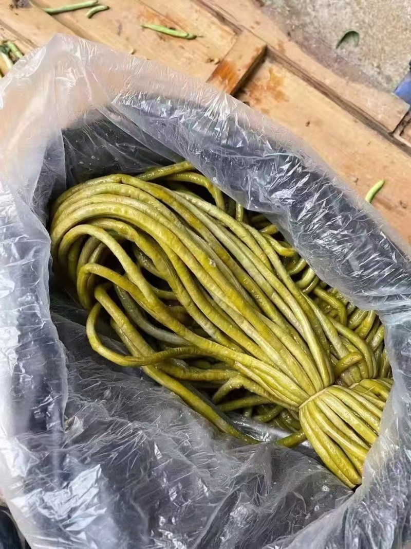 大量批发加工厂用的，市场用的腌渍白豆角半成品