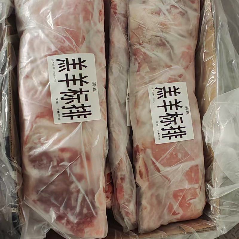 羔羊标排