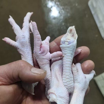 鸡爪