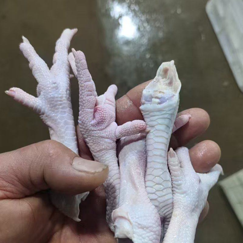 鸡爪