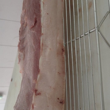肥肉