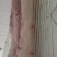 肥肉