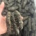 福建霞浦优质海刺参深海养殖刺长饱满皮厚韧性好顺丰快递包邮