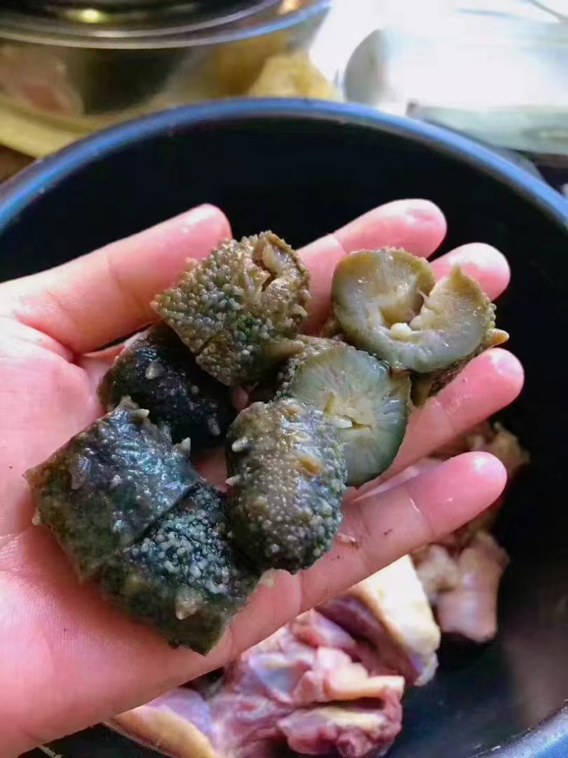 福建霞浦优质海刺参深海养殖刺长饱满皮厚韧性好顺丰快递包邮