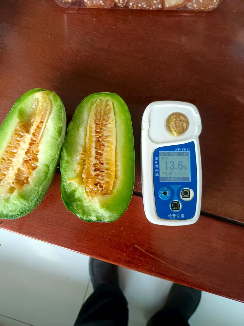 博洋72甜瓜蜜园十八甜瓜高种植产地量大口感好看棚定货