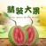 红宝石番石榴软糯香甜基地直销批发一件代发电商代发