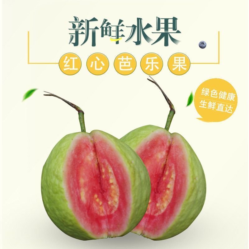 红宝石番石榴软糯香甜基地直销批发一件代发电商代发