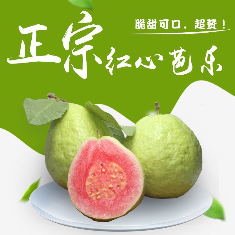 红宝石番石榴软糯香甜基地直销批发一件代发电商代发