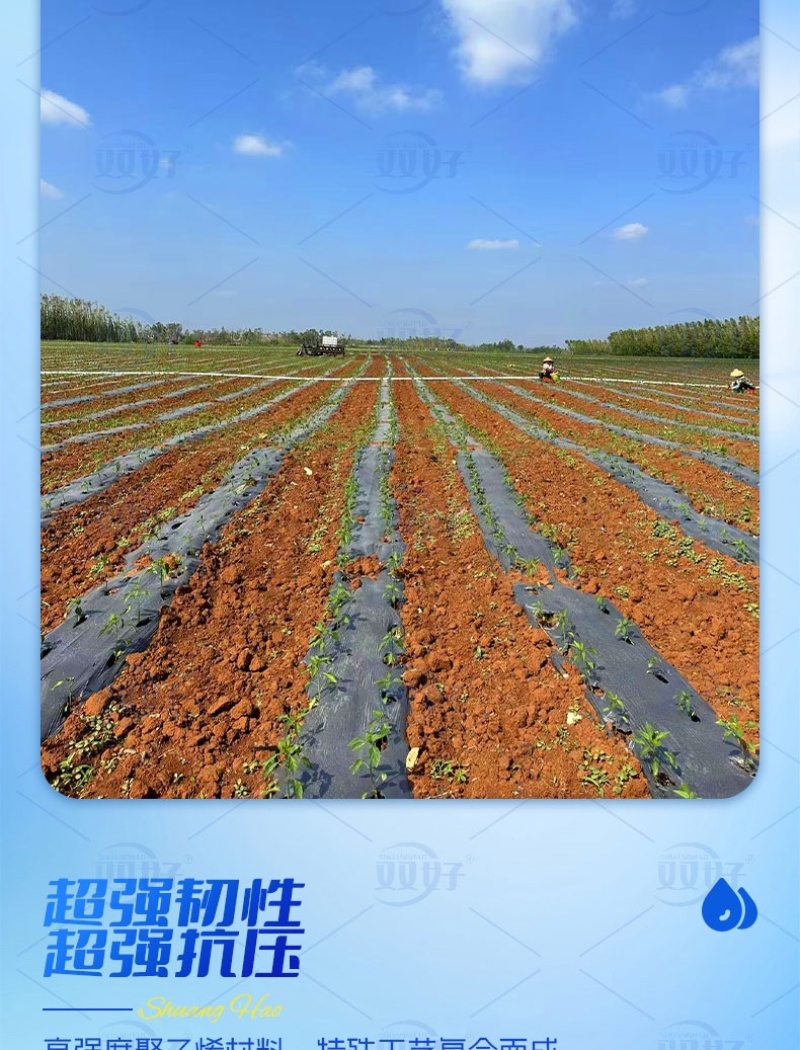 抗堵抗寒贴条滴灌带高效灌溉节水节肥耐用全新技术厂家直销