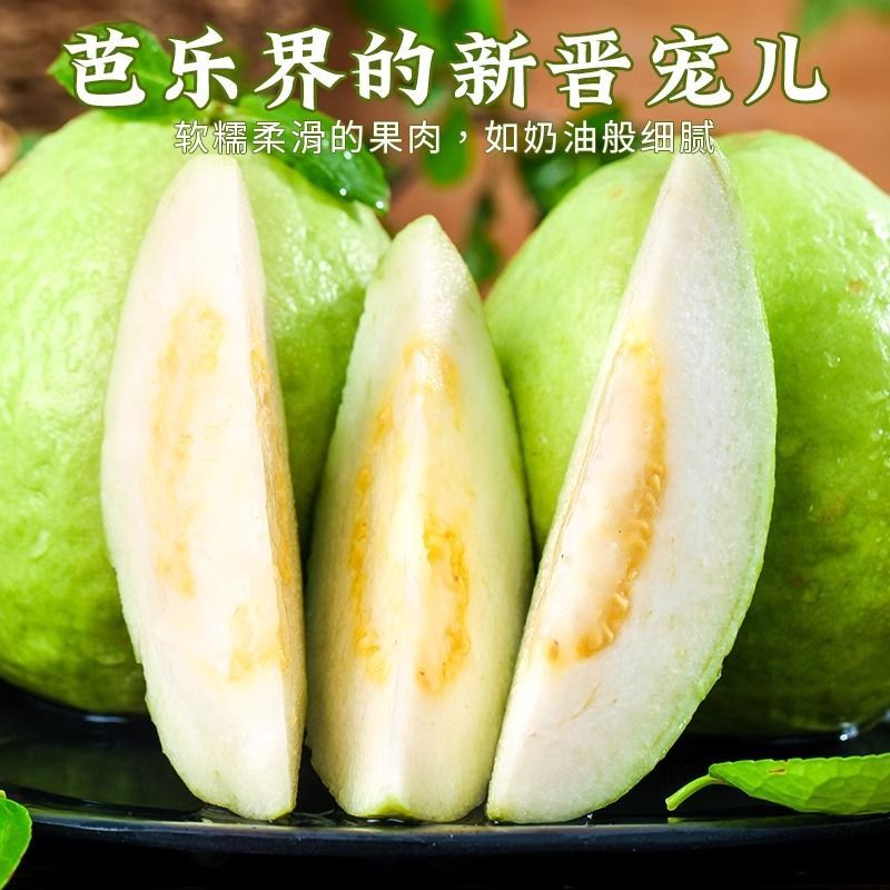 白心芭乐番石榴基地直销批发电商一件代发