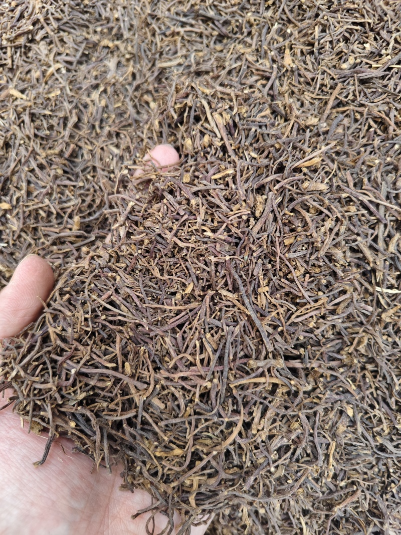 中药材紫菀河北正宗道地水洗紫菀根散装批发量大从优