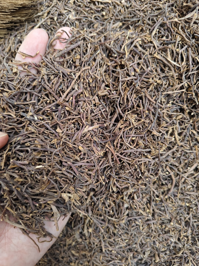 中药材紫菀河北正宗道地水洗紫菀根散装批发量大从优