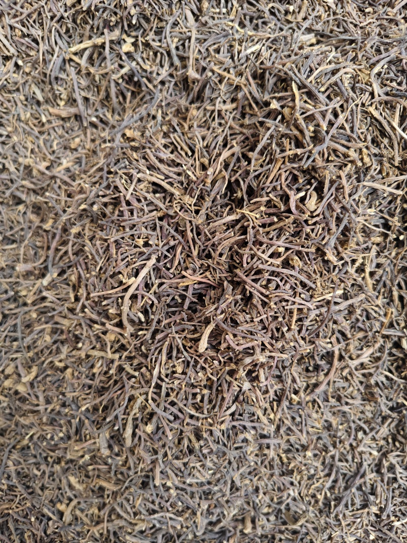 中药材紫菀河北正宗道地水洗紫菀根散装批发量大从优