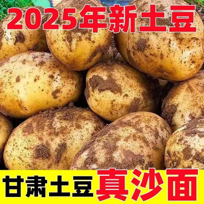 2025现挖定西土豆甘肃沙面蔬菜马铃薯洋芋黄皮黄心新鲜整