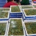 青甜小番茄青口蜜圣女果种植产地量大口感好诚信代收