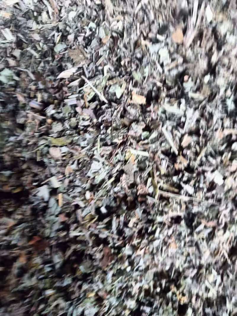 推荐野生艾叶小艾叶全棵打碎自然晾晒药味浓郁价格优