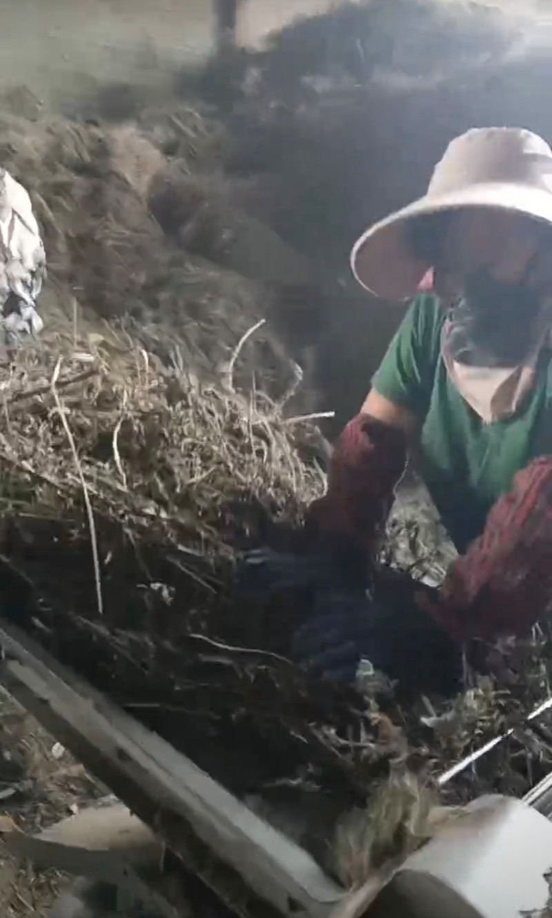 推荐野生艾叶小艾叶全棵打碎自然晾晒药味浓郁价格优