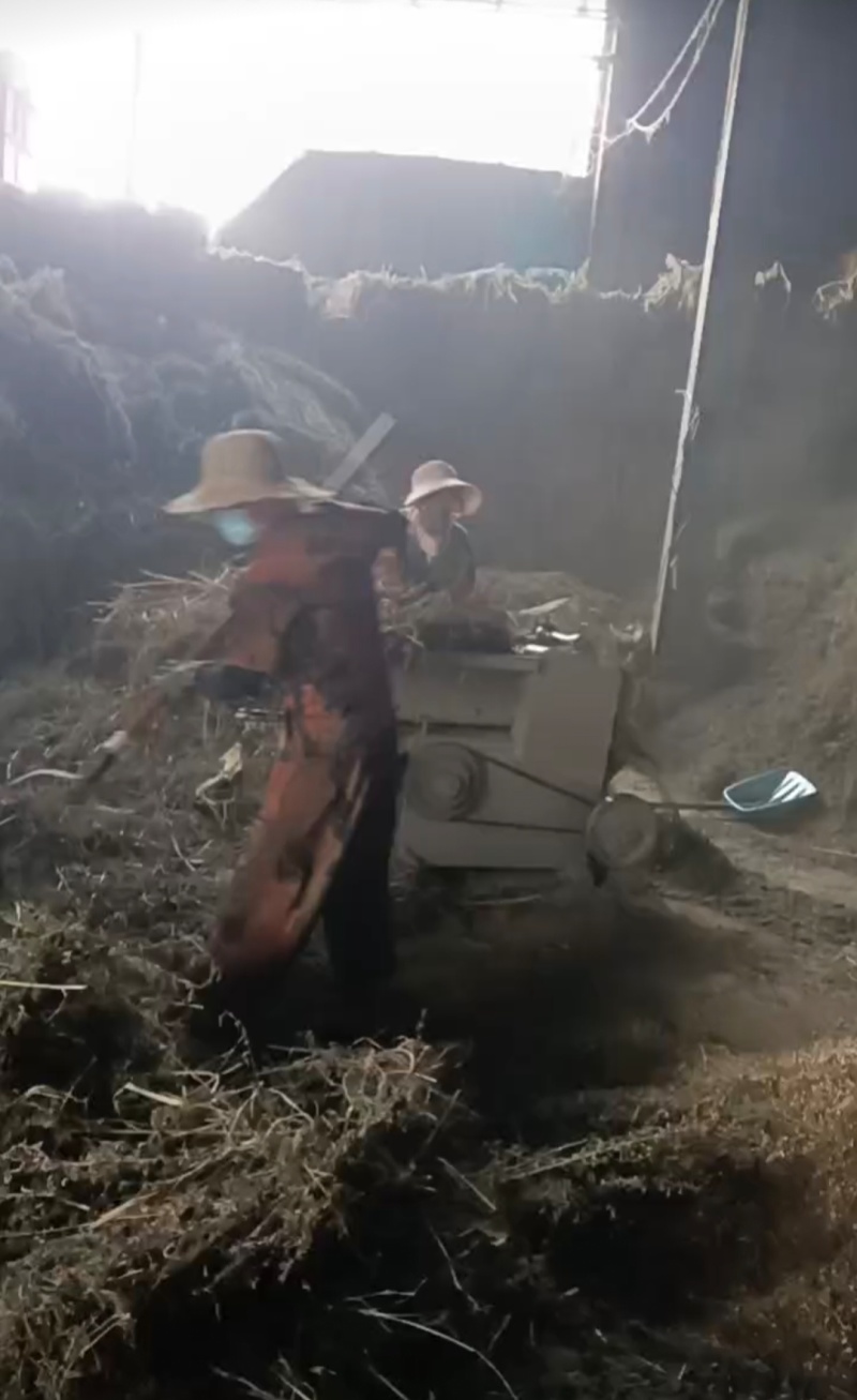 推荐野生艾叶小艾叶全棵打碎自然晾晒药味浓郁价格优