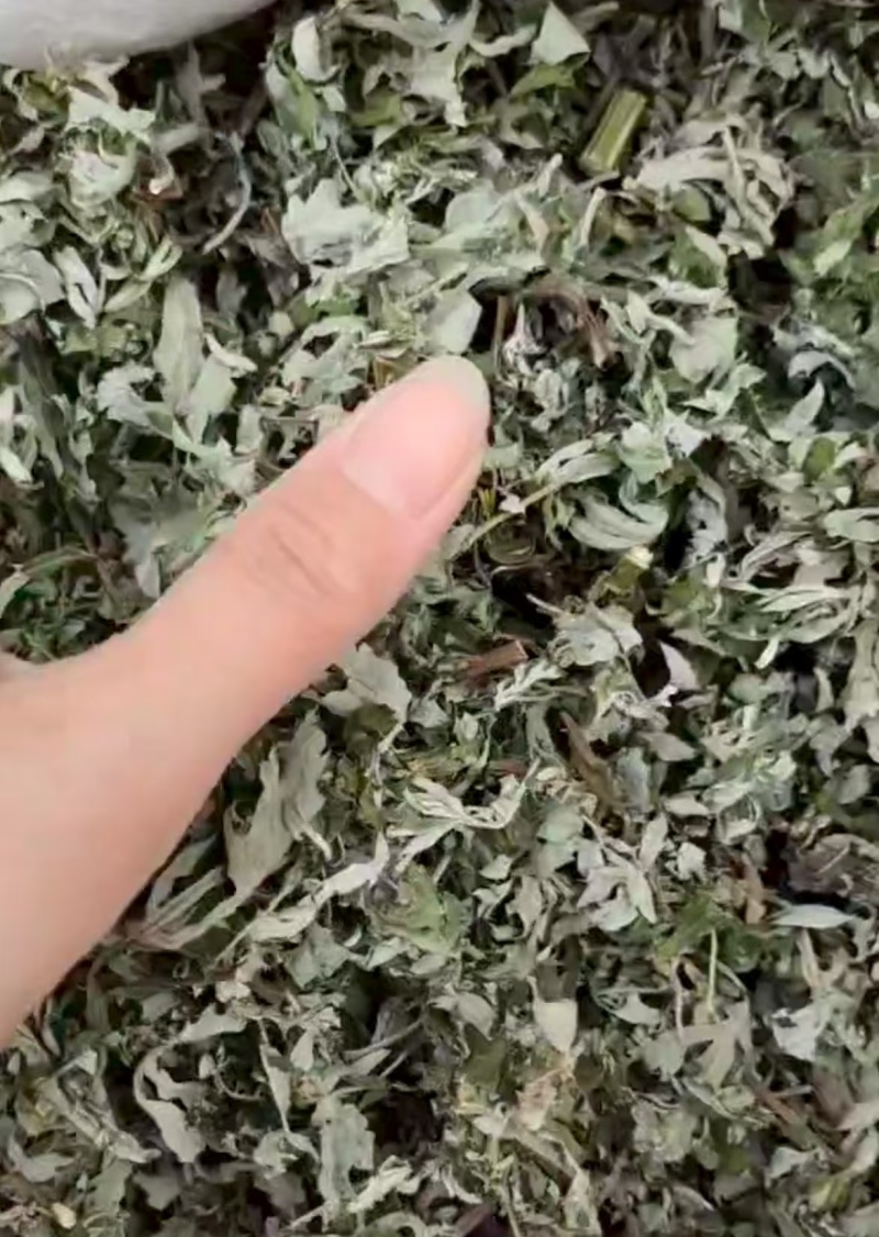 推荐野生艾叶小艾叶全棵打碎自然晾晒药味浓郁价格优