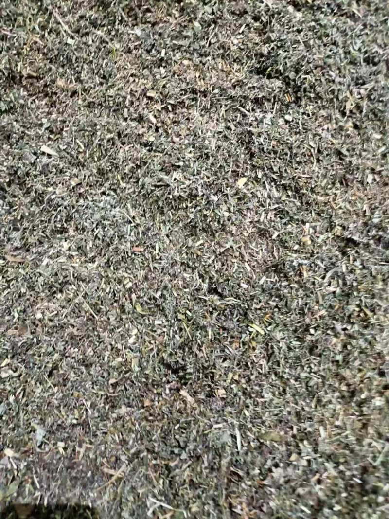 热卖中艾草小艾整棵艾草晾晒打碎药味浓郁量大从优联系