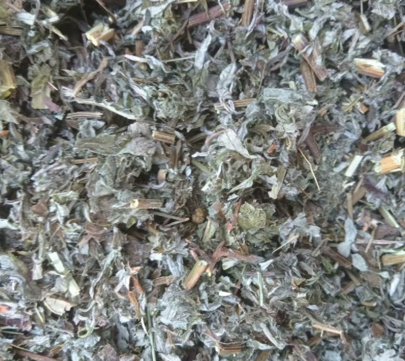 热卖中艾草小艾整棵艾草晾晒打碎药味浓郁量大从优联系