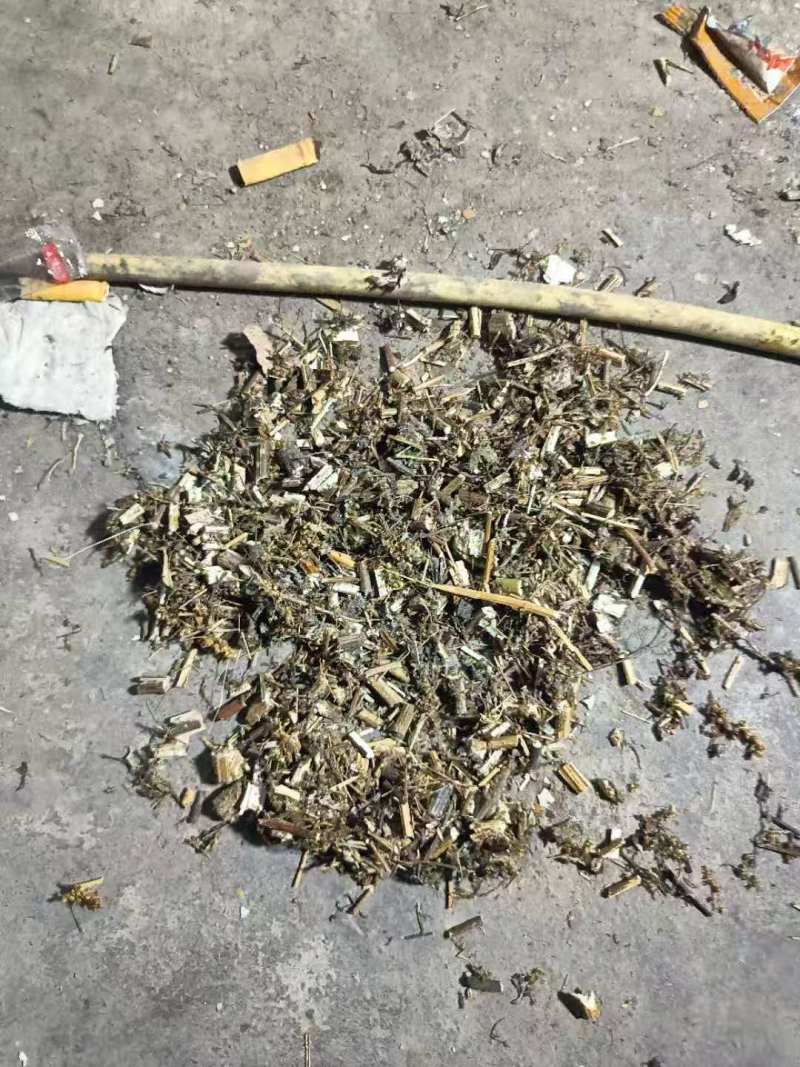 热卖中艾草小艾整棵艾草晾晒打碎药味浓郁量大从优联系
