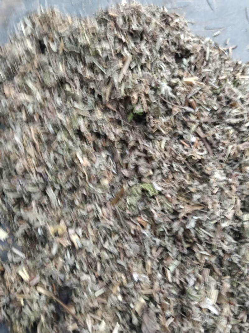 热卖中艾草小艾整棵艾草晾晒打碎药味浓郁量大从优联系