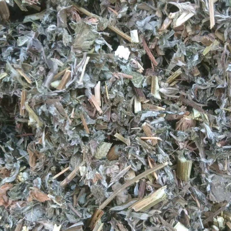 热卖中艾草小艾整棵艾草晾晒打碎药味浓郁量大从优联系
