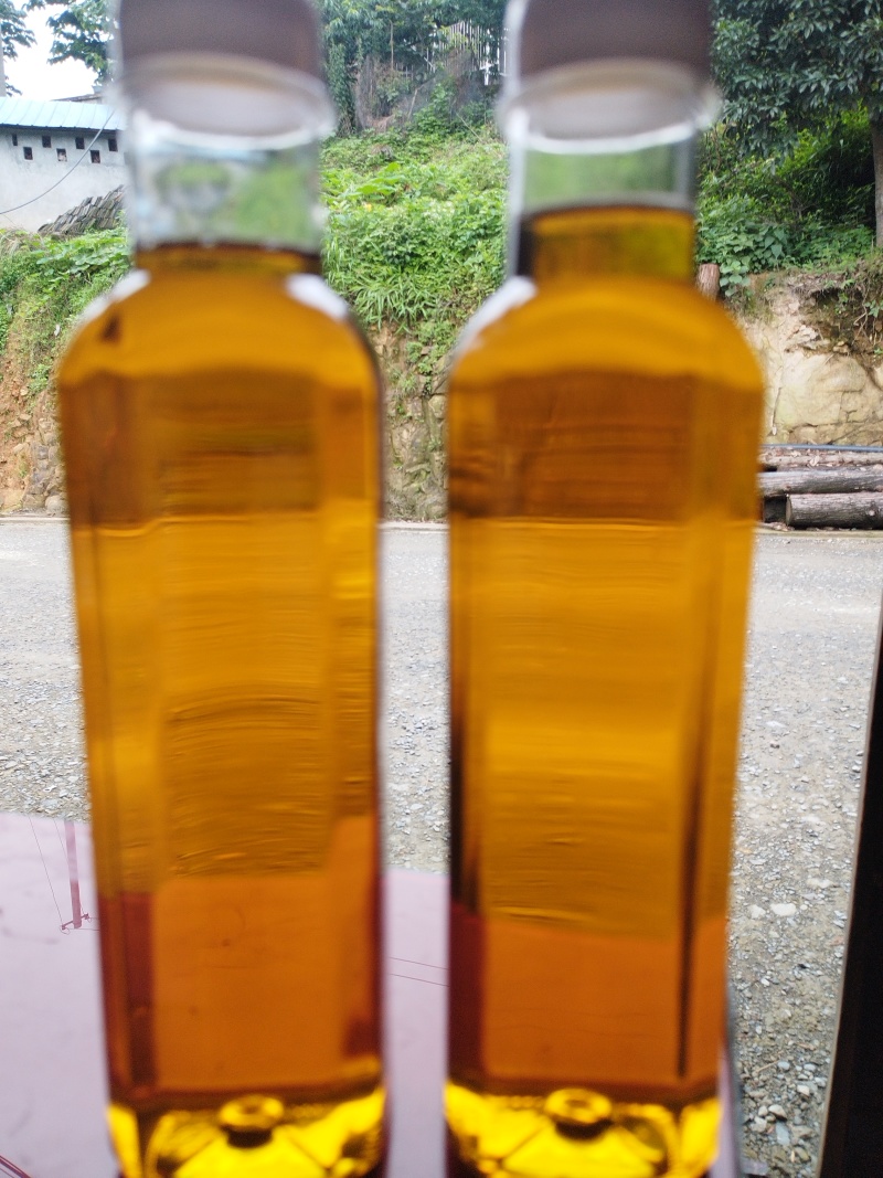 湖南高山野生山茶油