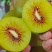 都江堰红心猕猴桃