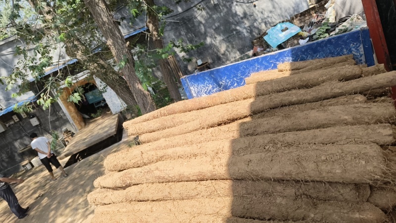 优质白玉大量出库，品优价廉，都是经过层层筛选的优质大通货