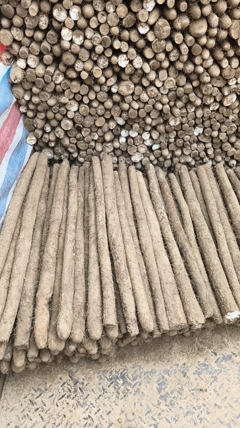 优质白玉大量出库，品优价廉，都是经过层层筛选的优质大通货