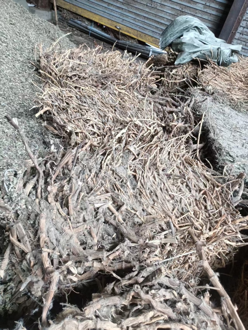 芦根野生芦苇根货源充足价格实惠欢迎联系