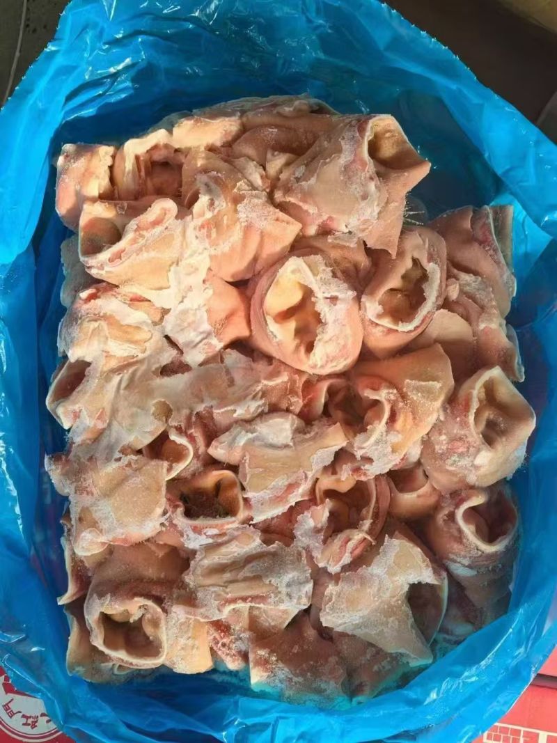 猪耳根