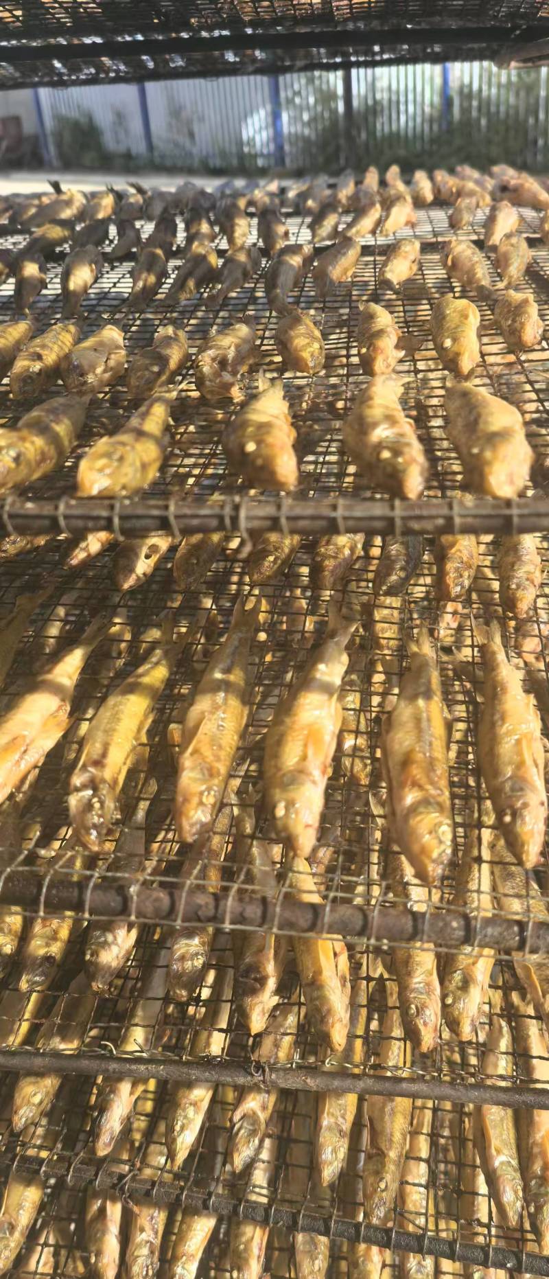 火培鱼干，棍子鱼鱼干\大量供应\对接全国各大商超市场
