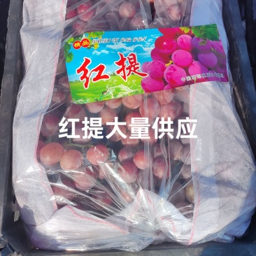 陕西精品红提，颗粒大红度好，糖度高，超市，批发市场，商超