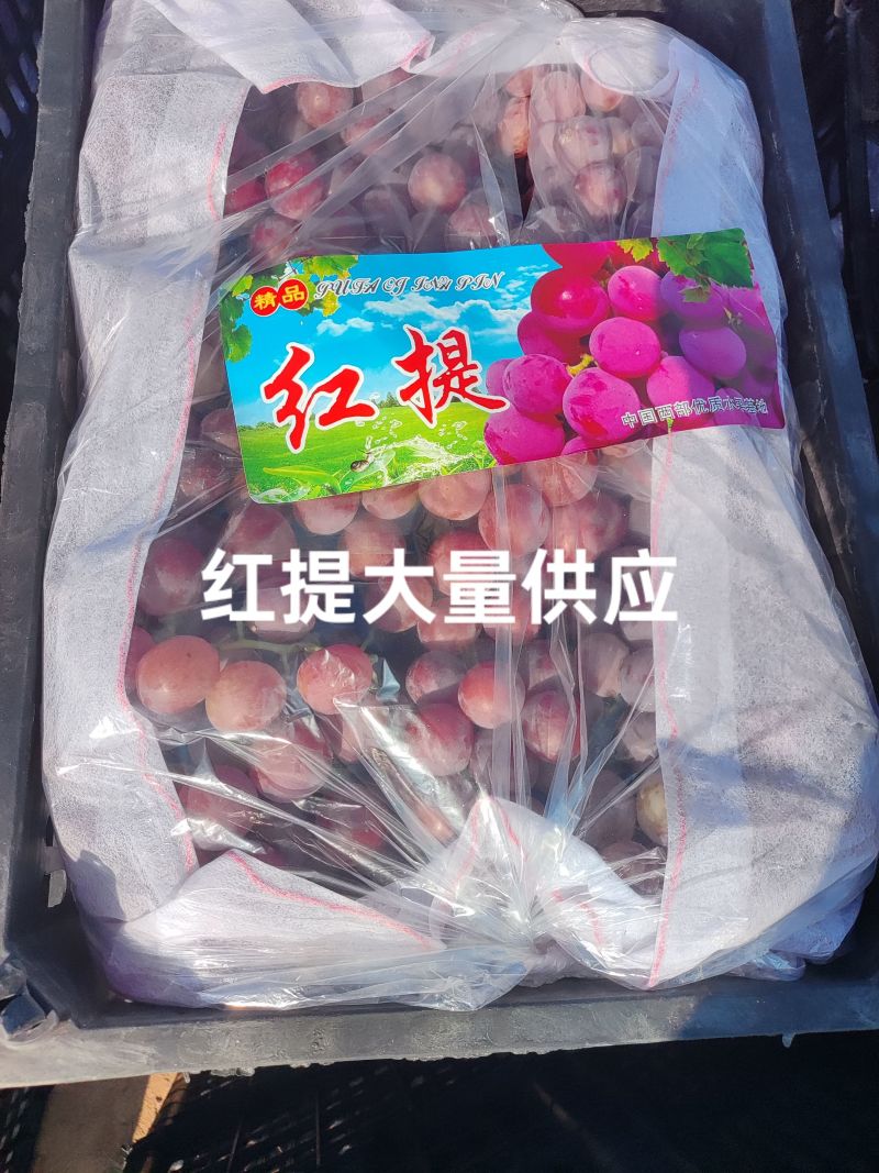 陕西精品红提，颗粒大红度好，糖度高，超市，批发市场，商超