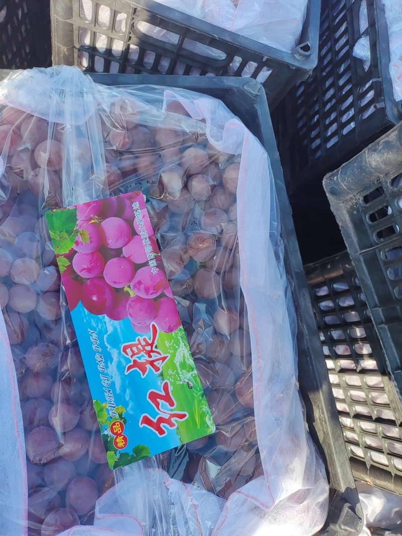 陕西精品红提，颗粒大红度好，糖度高，超市，批发市场，商超
