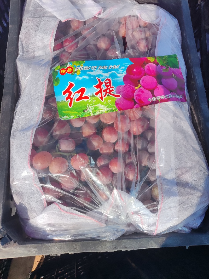 陕西精品红提，颗粒大红度好，糖度高，超市，批发市场，商超