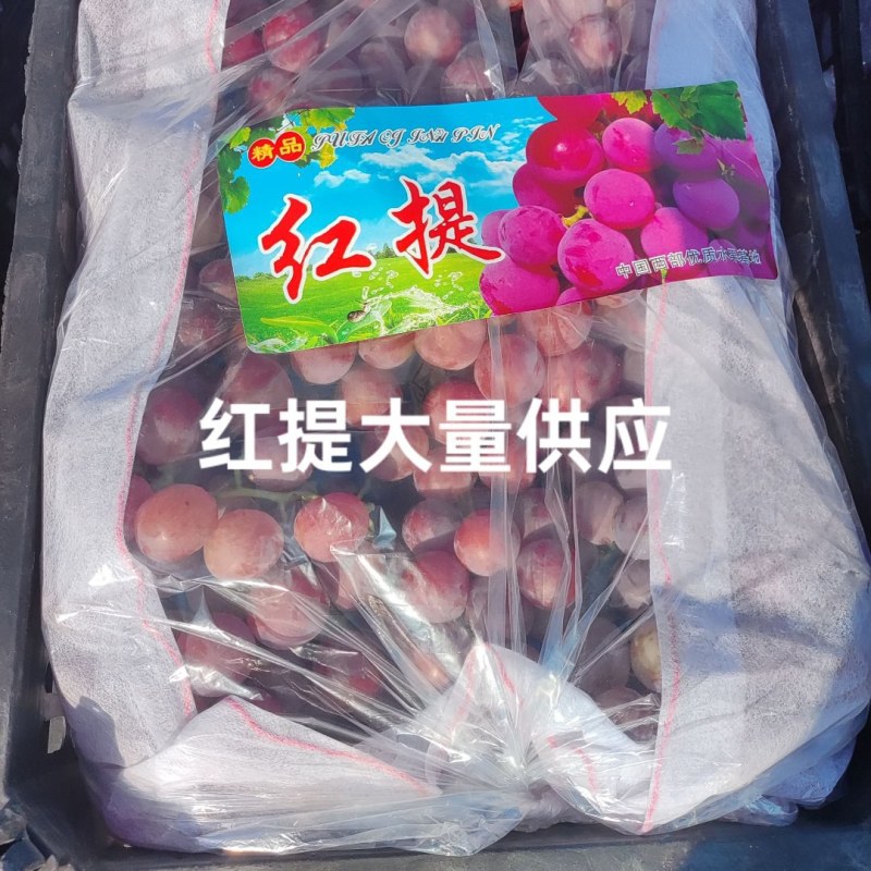 红提葡萄，陕西蒲城红提，颗粒大红度好，糖度高，超市，批发